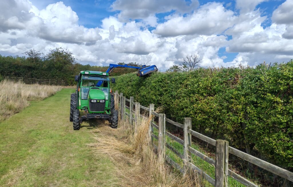 hedge cutting