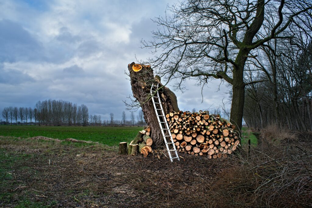 chainsaw work