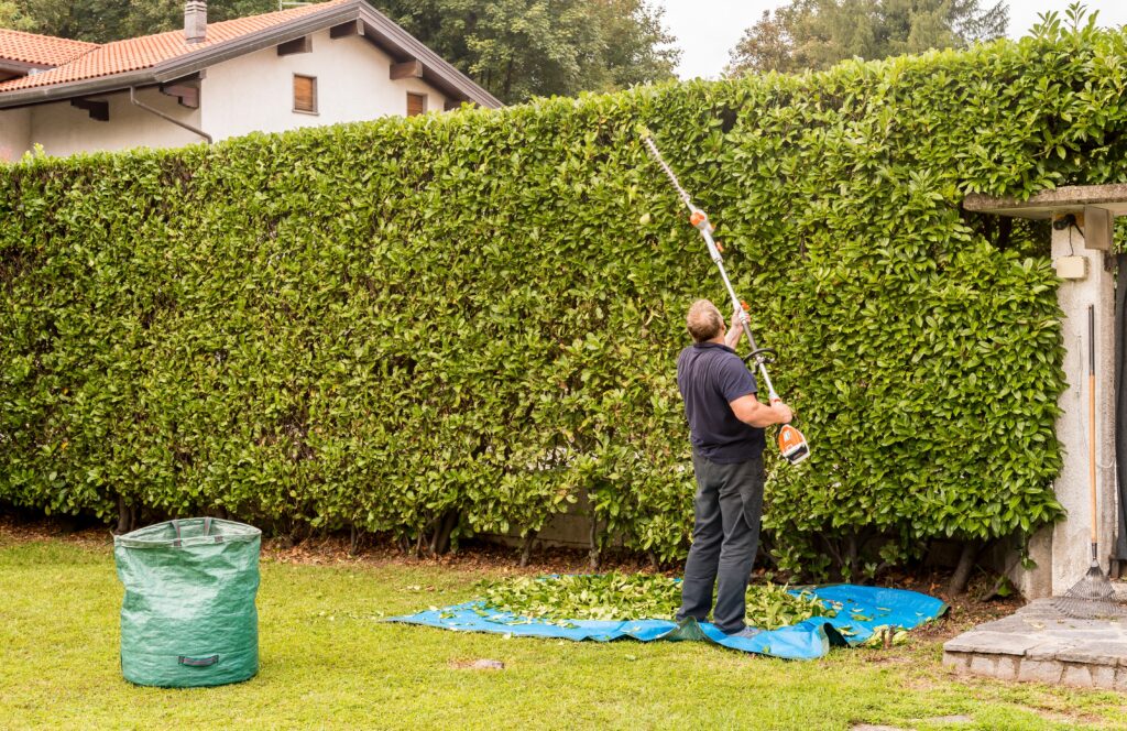 Hedge Cutting