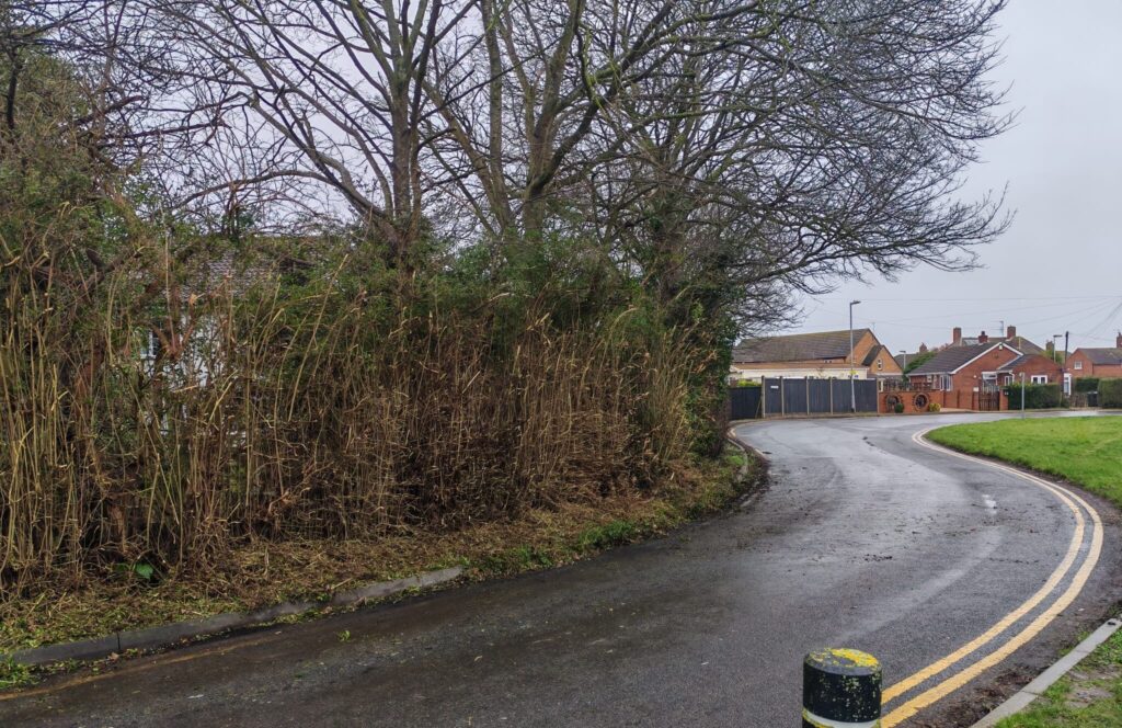 hedge cutting for road safety