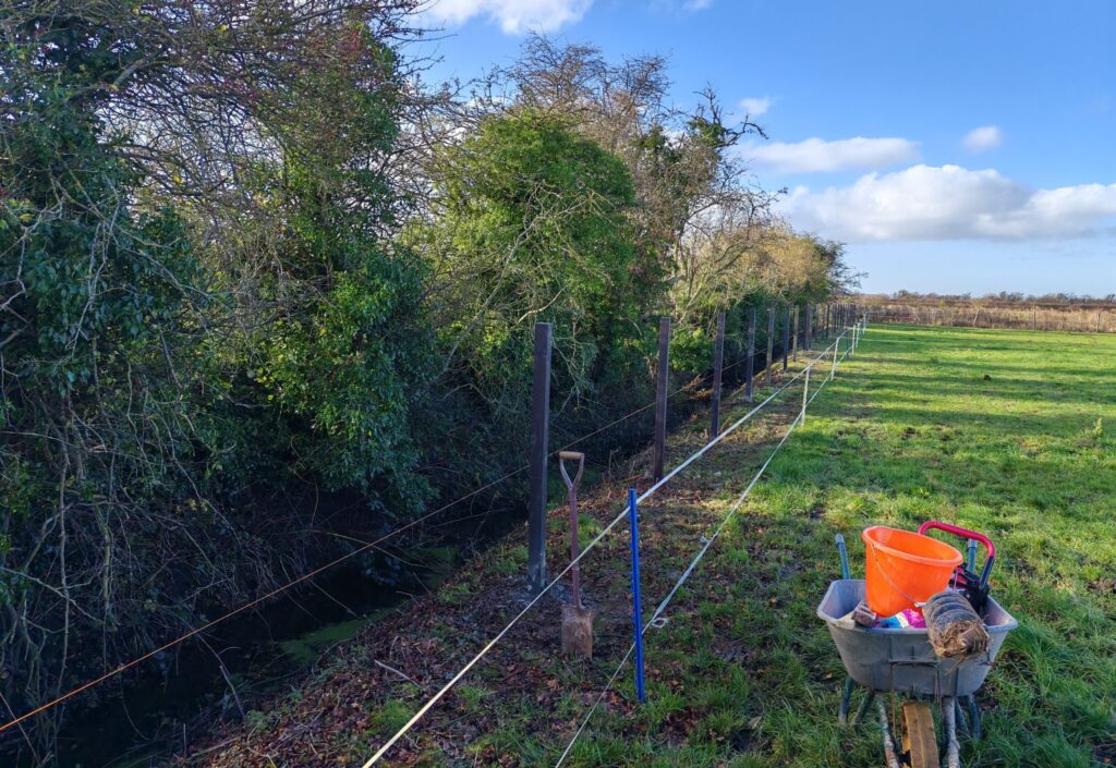fencing